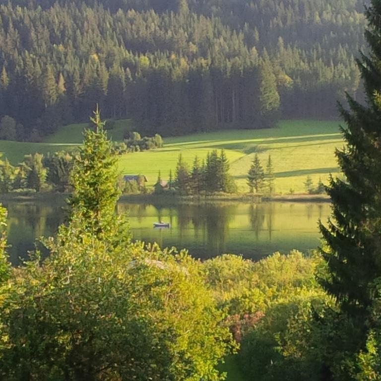 Seehaus Verena Weissensee Habitación foto